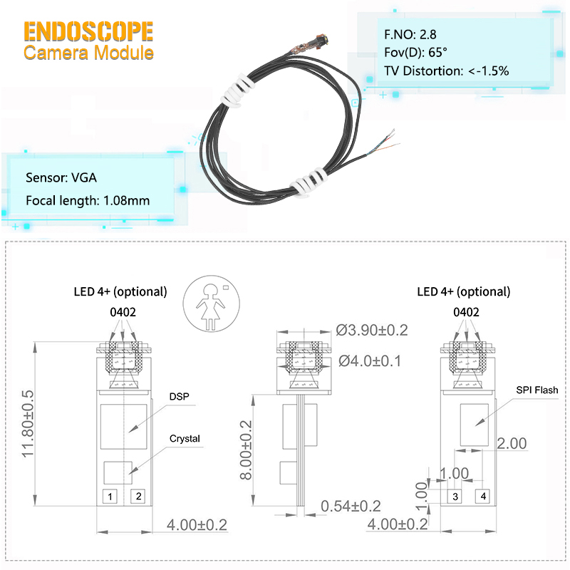 Guide de s&eacute;lection du module de cam&eacute;ra endoscopique &agrave; sortie analogique VGA 4,0 mm